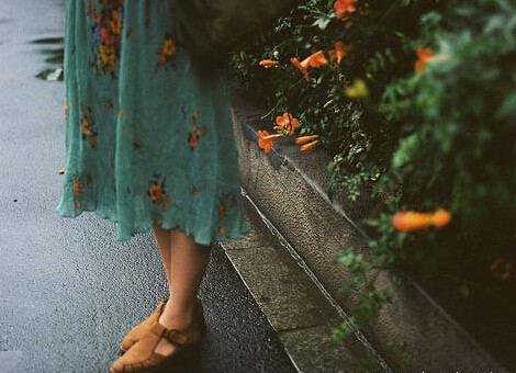 不离不弃，才是真爱