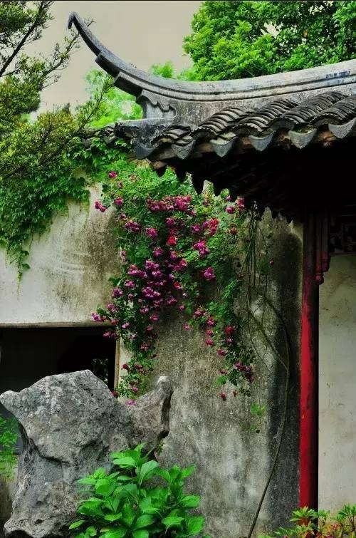 愿岁月可回首，且以深情共余生(图1)