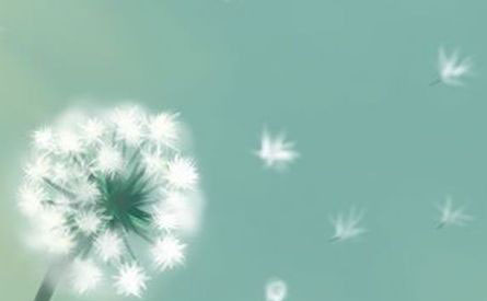 不怪时间太瘦指间太宽(图1)