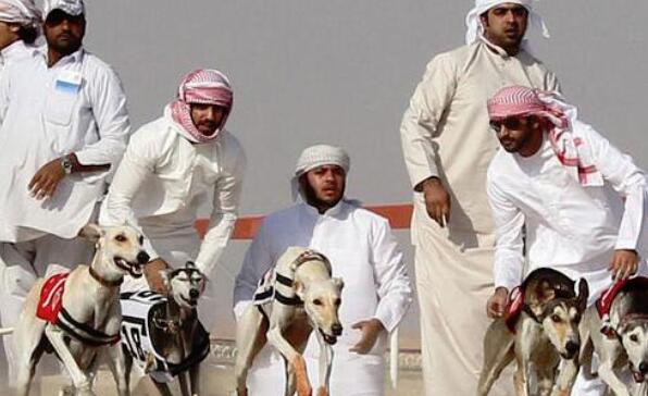 世界上最贵的狗，比藏獒贵N倍!