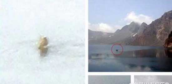 世界上最著名的十大水怪，揭秘十大水怪之谜(图片大全)