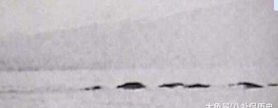 世界十大水怪之谜