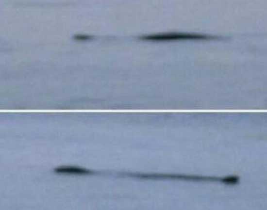 世界上最著名的十大水怪