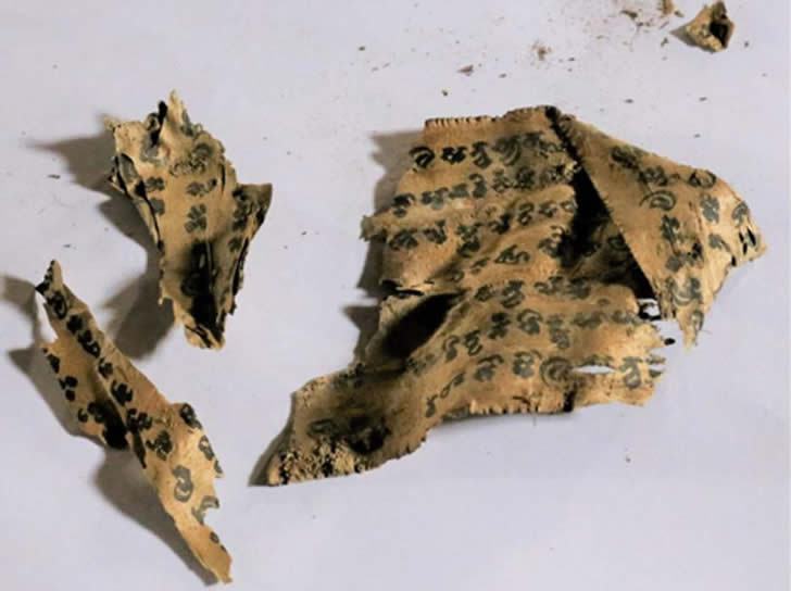 阿富汗考古发现大型“佛教城市”，挖出罕见的佛经抄本