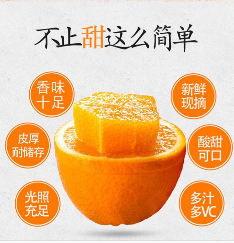 天呈果园 湖北秭归春橙伦晚橙子新鲜孕妇水果产地现摘直发 九斤装精选大果75-80mm(图2) 天呈果园 湖北秭归春橙伦晚橙子新鲜孕妇水果产地现摘直发 九斤装精选大果75-80mm(图2)