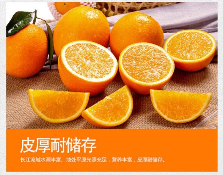 天呈果园 湖北秭归春橙伦晚橙子新鲜孕妇水果产地现摘直发 九斤装精选大果75-80mm(图8) 天呈果园 湖北秭归春橙伦晚橙子新鲜孕妇水果产地现摘直发 九斤装精选大果75-80mm(图8)
